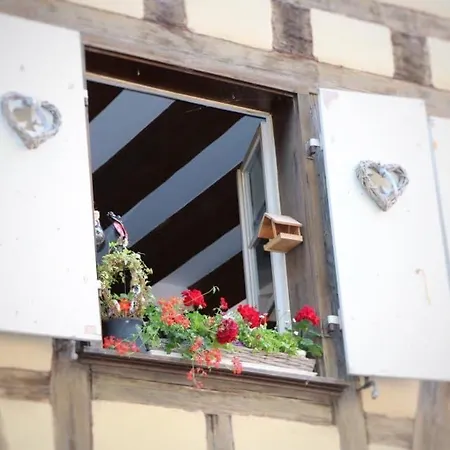 Avec Garage Et Terrasse Au Coeur De Colmar, Pres De La Route Des Vins D'alsace - Fr-1-722-6 * Colmar