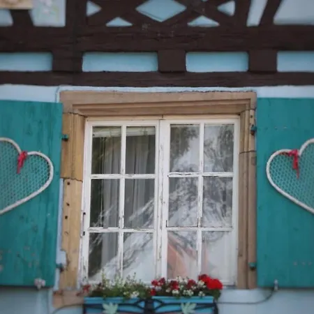 Apartament Avec Garage Et Terrasse Au Coeur De Colmar, Pres De La Route Des Vins D'alsace - Fr-1-722-6 *