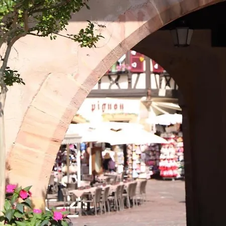 Avec Garage Et Terrasse Au Coeur De Colmar, Pres De La Route Des Vins D'alsace - Fr-1-722-6 Apartament *