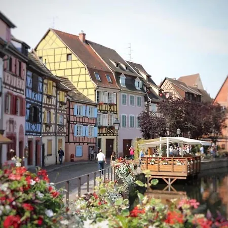 Avec Garage Et Terrasse Au Coeur De Colmar, Pres De La Route Des Vins D'alsace - Fr-1-722-6 Apartment