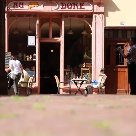 Avec Garage Et Terrasse Au Coeur De Colmar, Pres De La Route Des Vins D'alsace - Fr-1-722-6 * Colmar