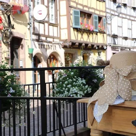 Avec Garage Et Terrasse Au Coeur De Colmar, Pres De La Route Des Vins D'alsace - Fr-1-722-6 Apartamento *