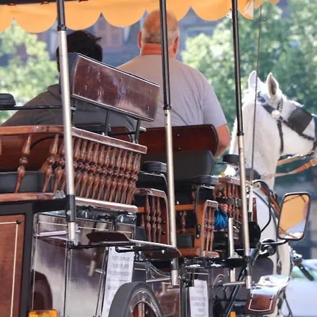 Avec Garage Et Terrasse Au Coeur De Colmar, Pres De La Route Des Vins D'alsace - Fr-1-722-6 * Colmar