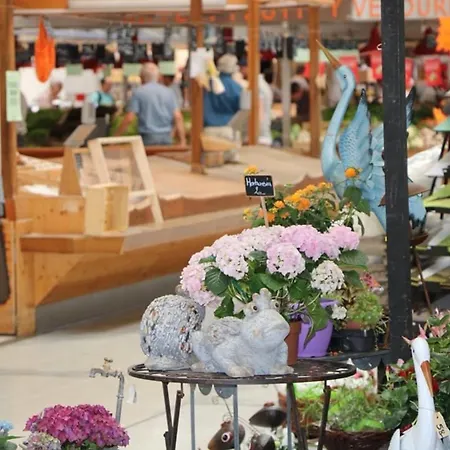 Διαμέρισμα Avec Garage Et Terrasse Au Coeur De Colmar, Pres De La Route Des Vins D'alsace - Fr-1-722-6