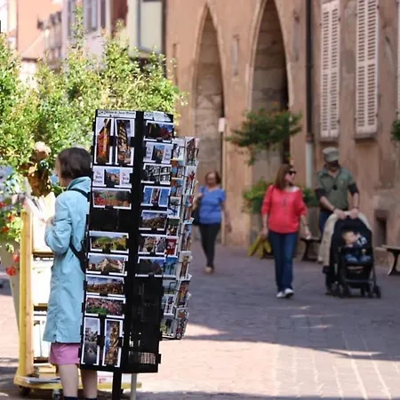 Avec Garage Et Terrasse Au Coeur De Colmar, Pres De La Route Des Vins D'alsace - Fr-1-722-6 Colmar