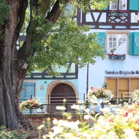 Apartament Avec Garage Et Terrasse Au Coeur De Colmar, Pres De La Route Des Vins D'alsace - Fr-1-722-6 *