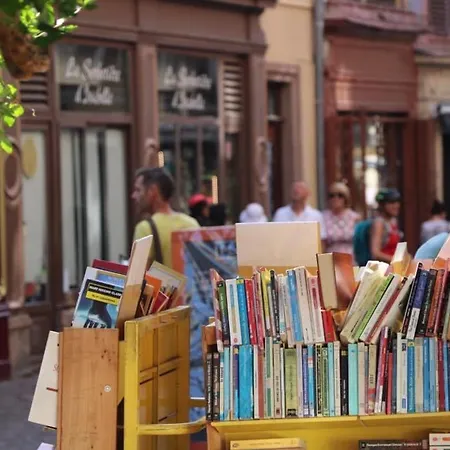 Avec Garage Et Terrasse Au Coeur De Colmar, Pres De La Route Des Vins D'alsace - Fr-1-722-6 *